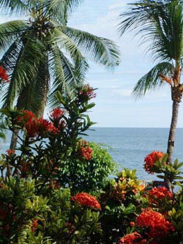 Hotel Los Mangos (via <a href="http://www.hotellosmangos.com/photos/images/0.jpg">hotellosmangos</a>)